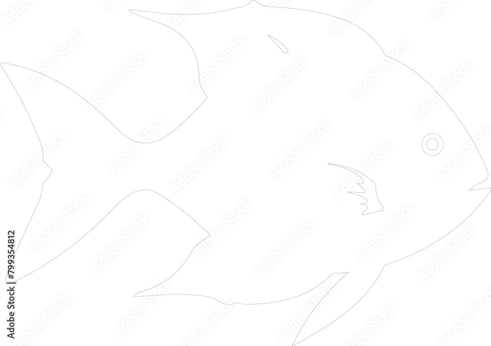 Obraz premium sunfish outline
