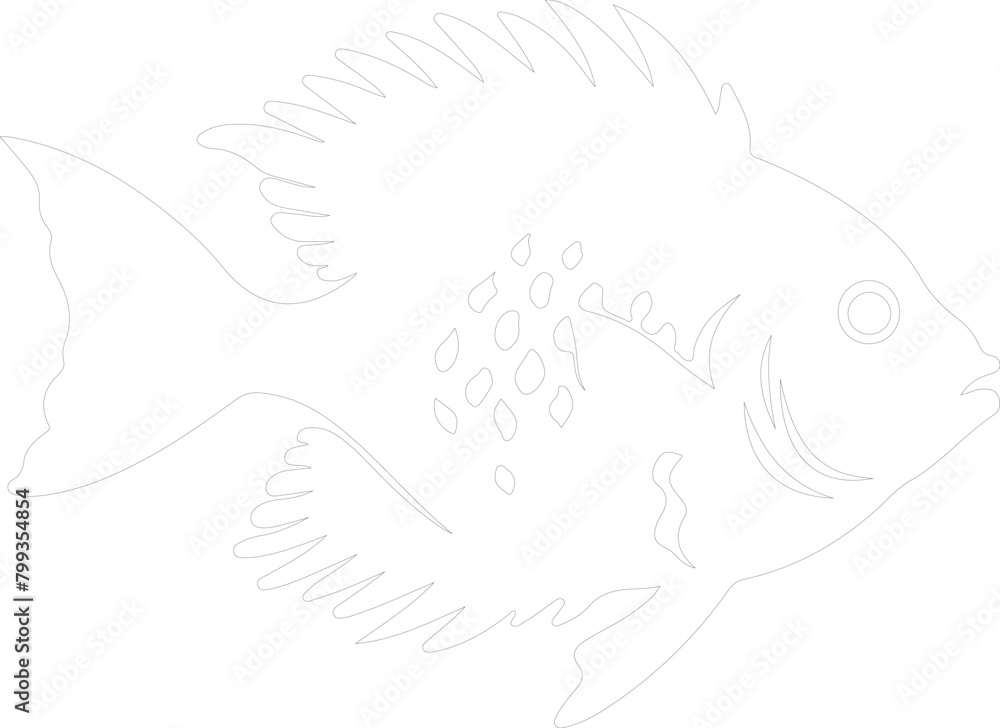 sunfish outline sunfish outline