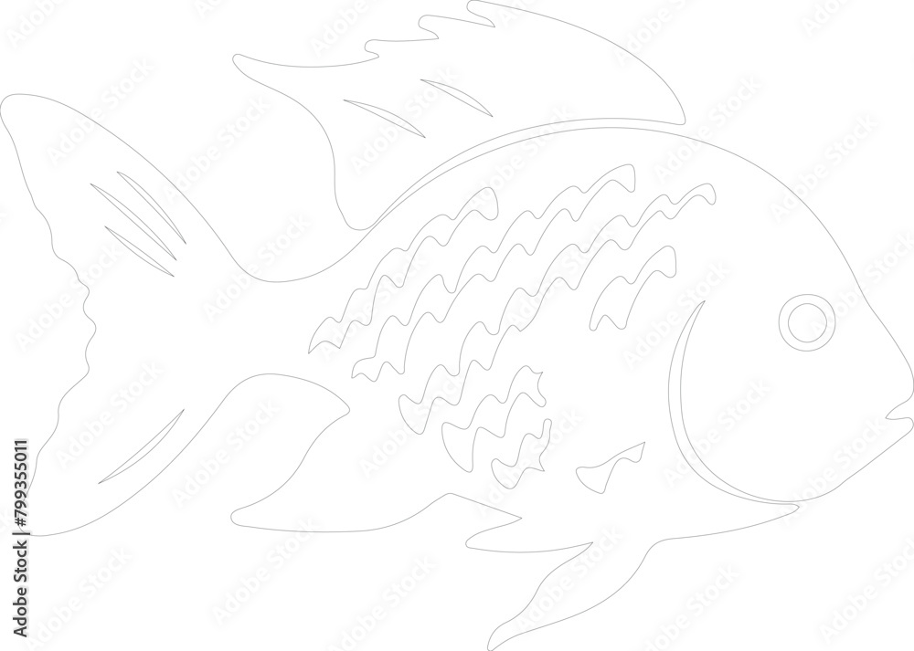 Fototapeta premium sunfish outline