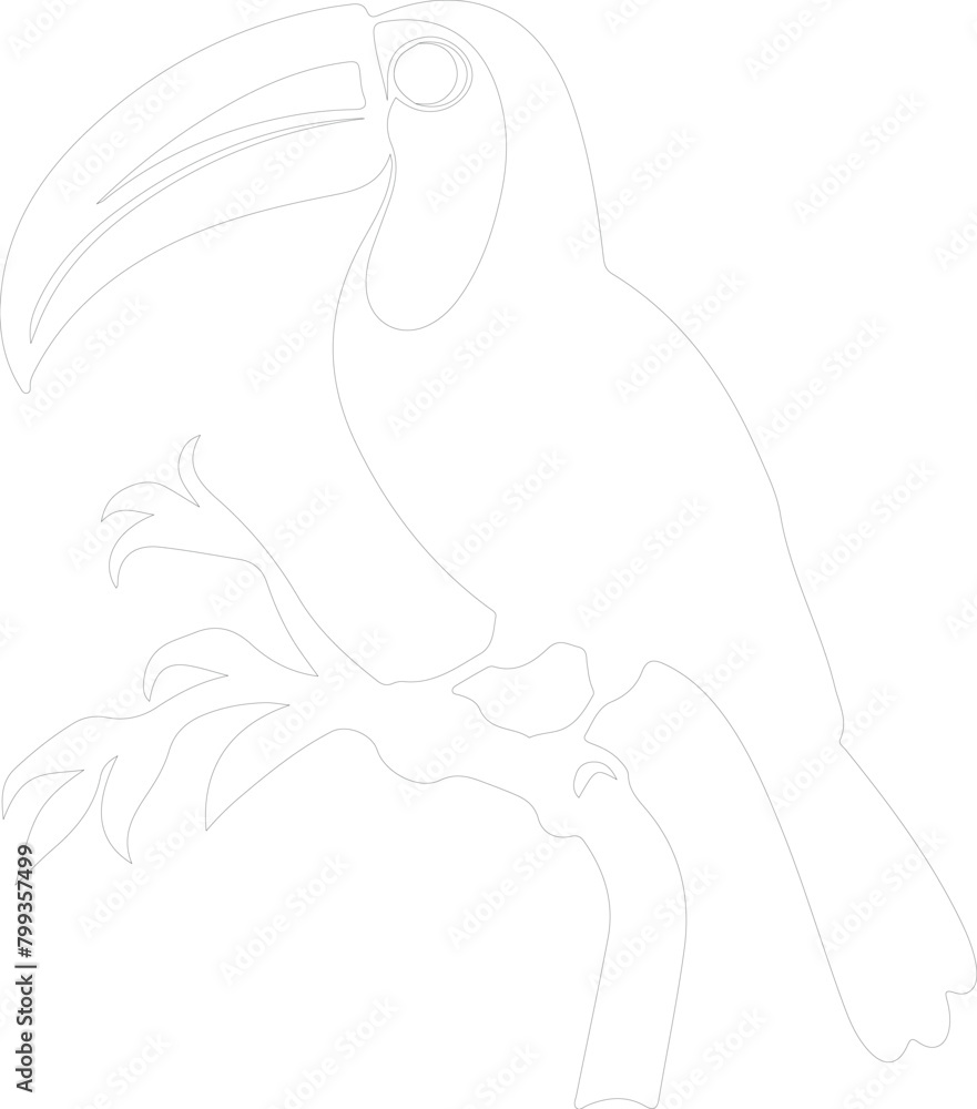 toucan outline
