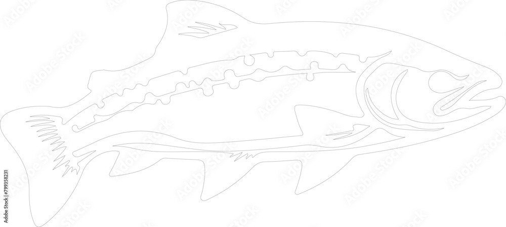trout outline trout outline