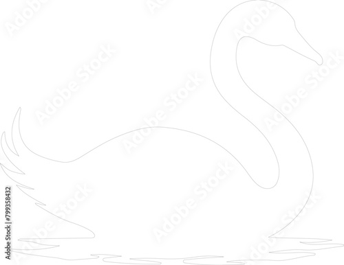 trumpeter swan outline
