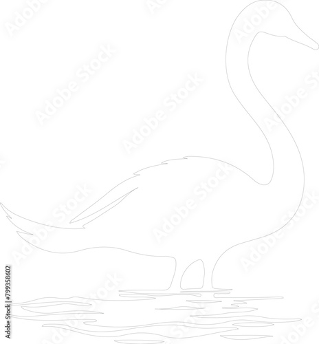 trumpeter swan outline