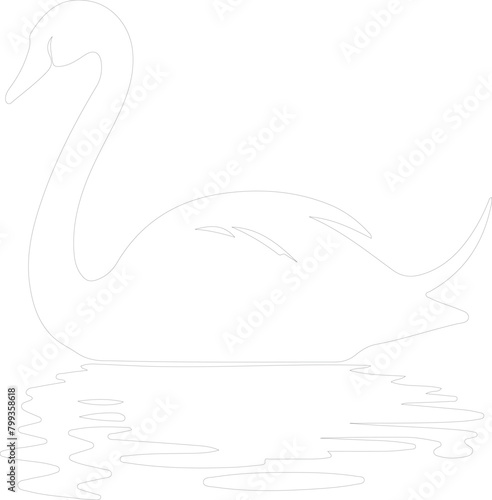 trumpeter swan outline
