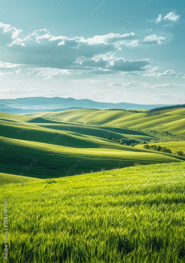 Fototapeta premium Green rolling hills under blue sky and white clouds