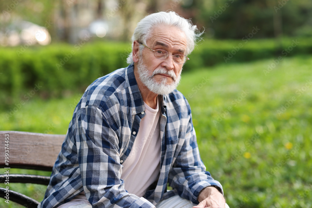 Portrait of happy grandpa with glasses on bench in park Portrait of happy grandpa with glasses on bench in park