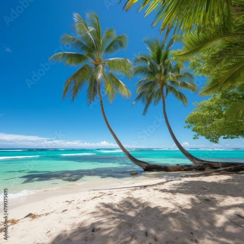 Beach with palm trees