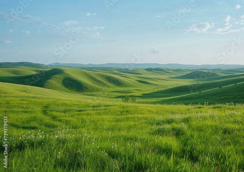 Vast green rolling hills under blue sky © Adobe Contributor