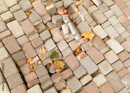 A close-up view of a cobblestone pavement, with an assortment of rectangular stones in color, ranging from light gray to tan to brown. Some of the stones are slightly displaced or uneven. 