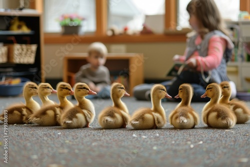 Ducklings in kindergarten. Background with selective focus and copy space
