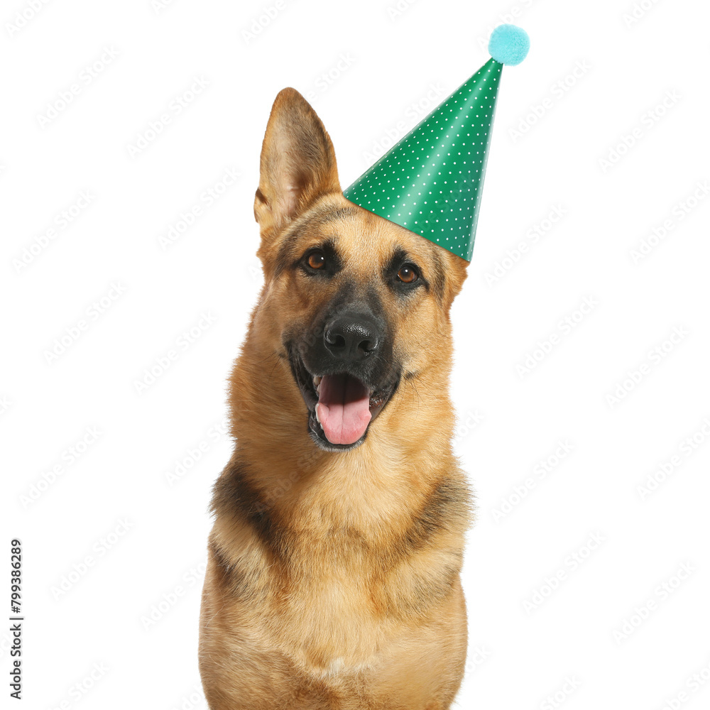 Cute German Shepherd dog with party hat on white background
