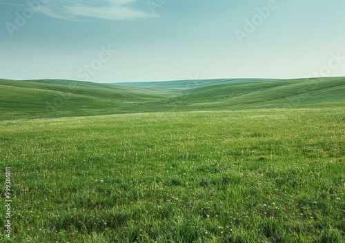 Vast green rolling hills under blue sky