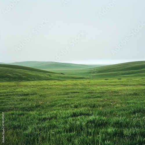 Vast green rolling hills under a grey sky