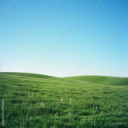 Green rolling hills under blue sky