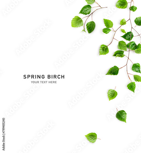 Spring birch tree green leaves frame border isolated on white background.