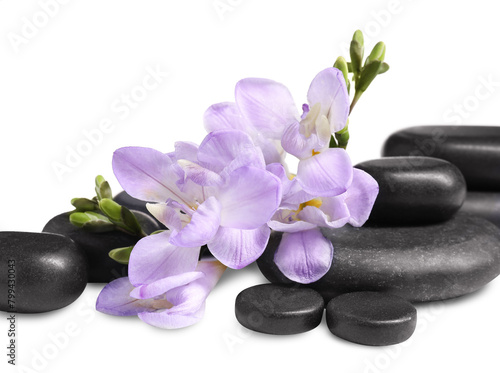 Beautiful violet freesia flowers and stones isolated on white
