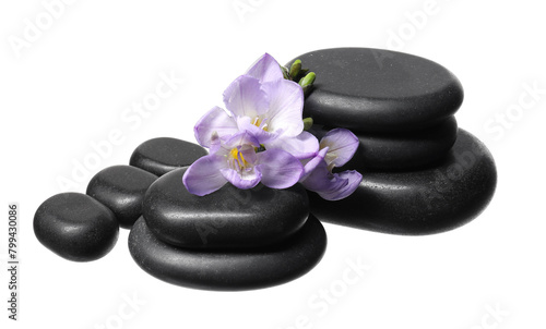 Beautiful violet freesia flowers and stones isolated on white