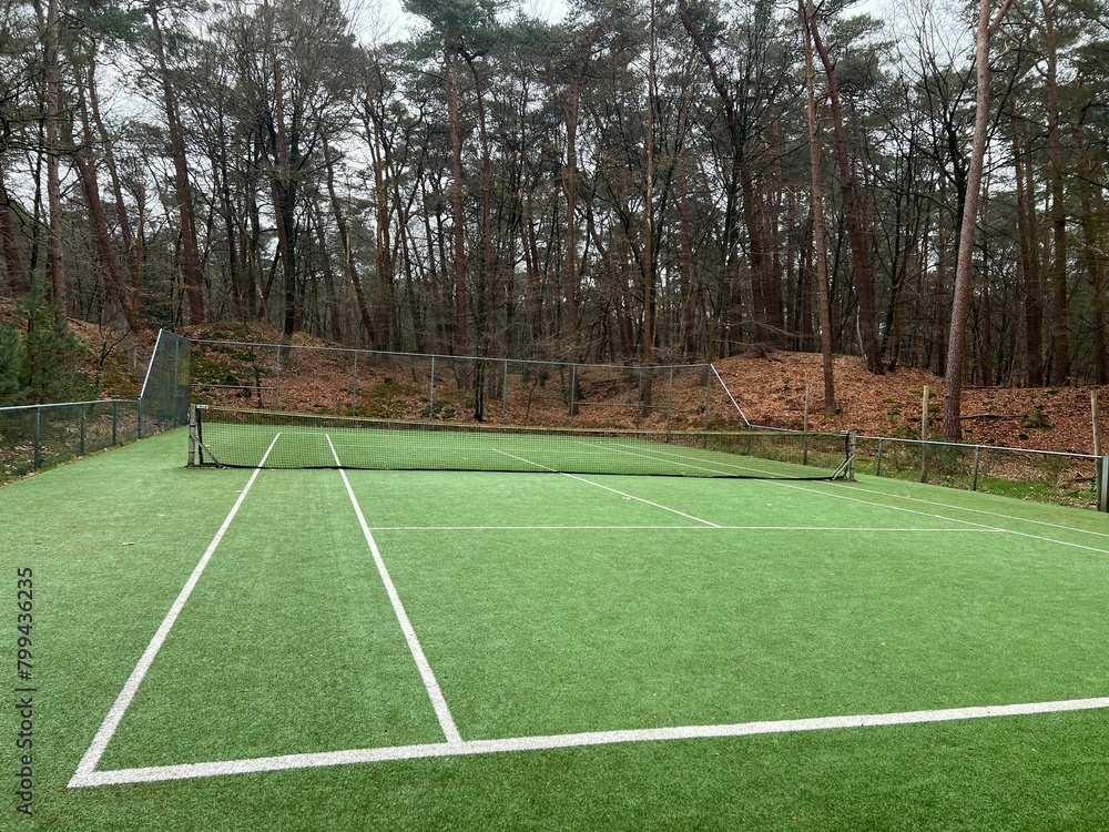 Fototapeta premium Tennis court with artificial grass and net outdoors