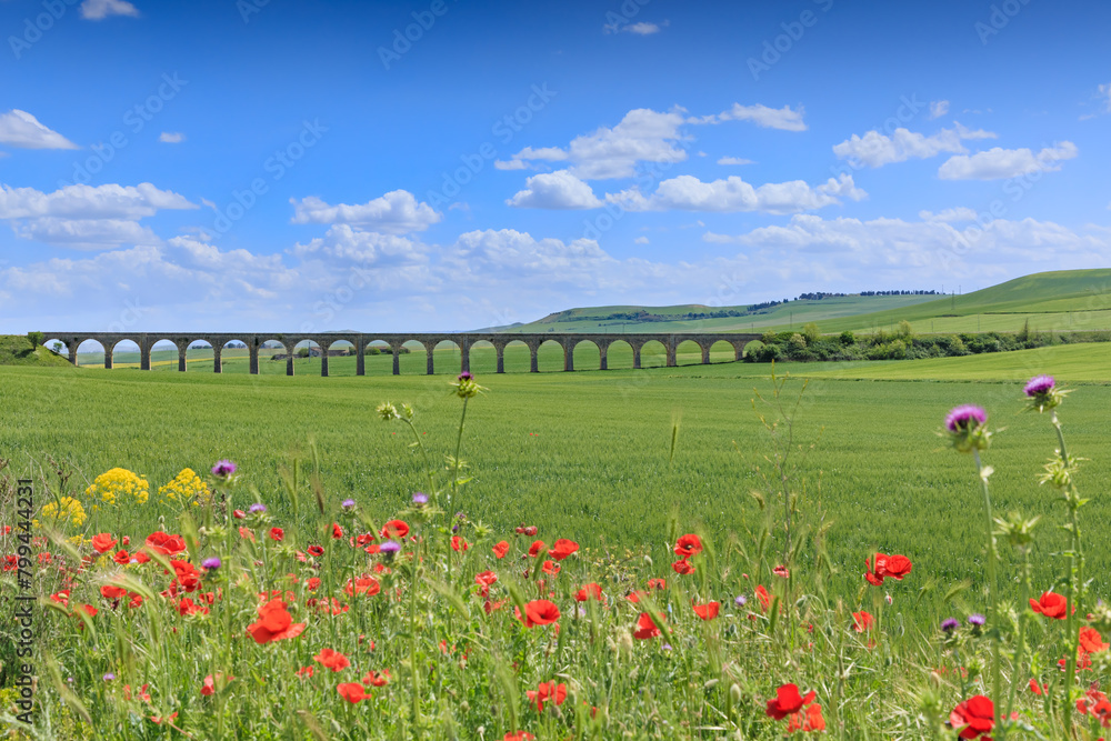  Springtime: hilly landscape with green wheat fields and viaduct. View of the Bridge of 21 Arches, the ghost railway bridge near Spinazzola town in Apulia, Italy.