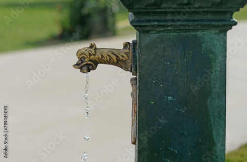 Cupper mythical animal head as a potable drinking water tap in the park. Selective focus