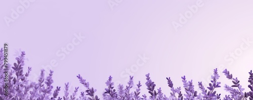 Lavender powder background texture with copy space for text or product, flat lay seamless vector illustration pattern template for website banner