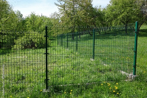 Wire mesh panel fence, painted green.