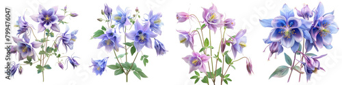 Wild Columbine Flowers Hyperrealistic Highly Detailed Isolated On Transparent Background Png File