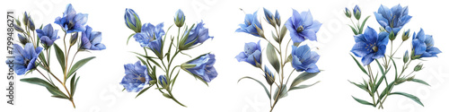 Prairie Gentian Flowers Hyperrealistic Highly Detailed Isolated On Transparent Background Png File