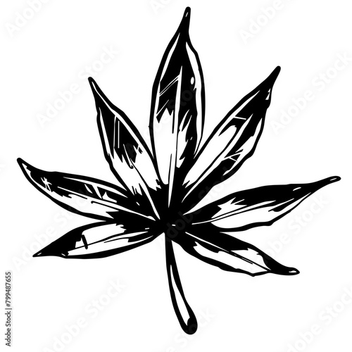 Cannabis Leaf Drawing, Black and White, Herbal and Natural Medicine Concept