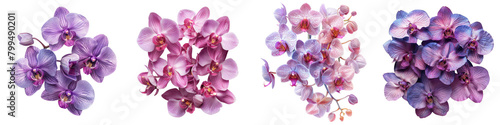 Orchids Flowers Top View Hyperrealistic Highly Detailed Isolated On Transparent Background Png File