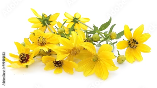 Fresh yellow flowers in glass water Isolated on white background
