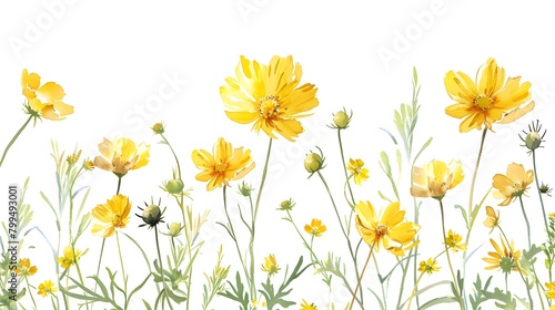 Fresh yellow flowers in glass water Isolated on white background 