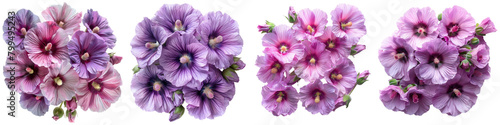 Hollyhocks Flowers Top View Hyperrealistic Highly Detailed Isolated On Transparent Background Png File