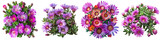 Delosperma (Ice Plant) Flowers  Hyperrealistic Highly Detailed Isolated On Transparent Background Png File