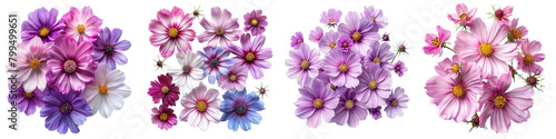 Cosmos Flowers Top View Hyperrealistic Highly Detailed Isolated On Transparent Background Png File