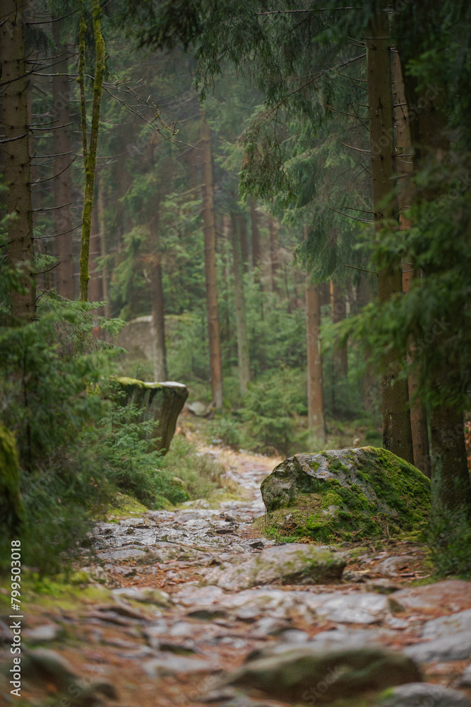 Einsame Pfade zum Wandern im Fichtelgebirge Einsame Pfade zum Wandern im Fichtelgebirge