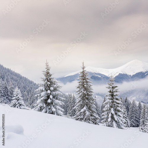 Snowy Winter Landscape © Optimal Lizard