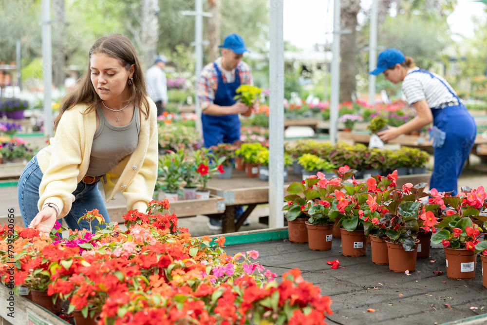 Smiling young female shopper in casual jeans and yellow cardigan selecting vibrant blooming Impatiens Walleriana plants in pots from array of colorful bedding flowers at local garden center