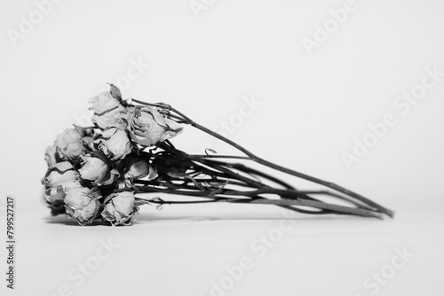 Dried Boquete