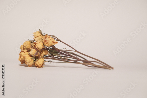 Dried Boquete
