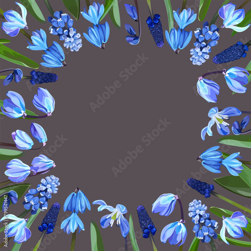 Frame of snowdrops and muscari on a gray background