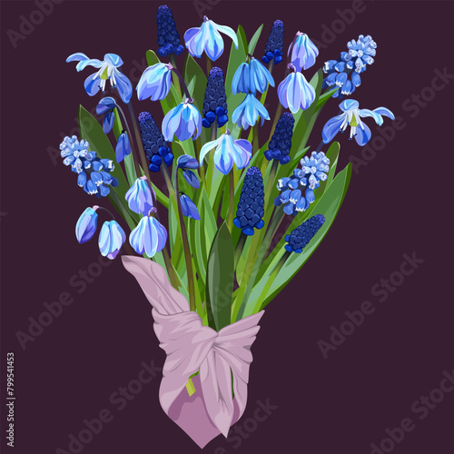 Bouquet of snowdrops and muscari in a pink scarf on a dark background
