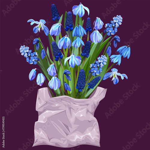 Bouquet of snowdrops and muscari in a bag on a dark background