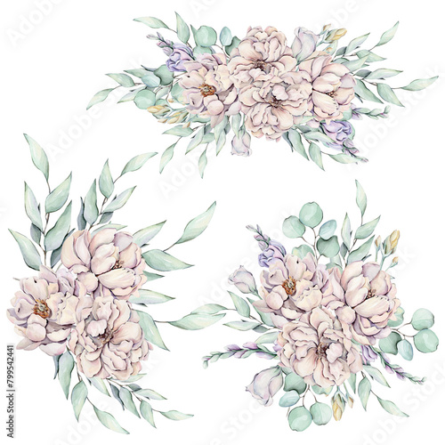 Watercolor flowers, pink peonies