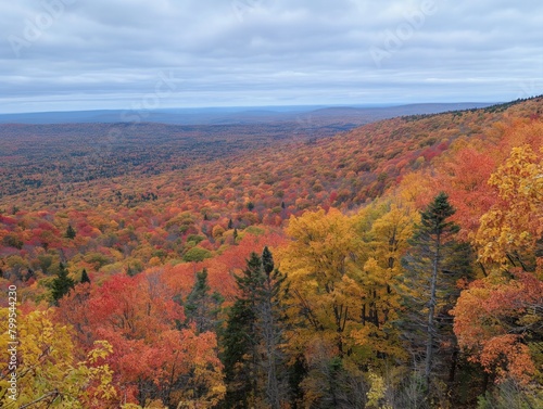 A beautiful autumn landscape with trees in full bloom. The sky is cloudy  but the sun is shining through the clouds  creating a warm and inviting atmosphere. The colors of the leaves are vibrant