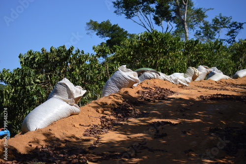 full coffee bag on the side of the dirt road in Brazil