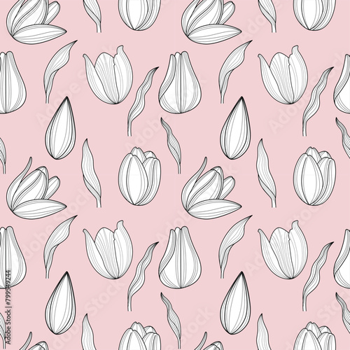 Seamless pattern of Tulip flowers . Vector illustration