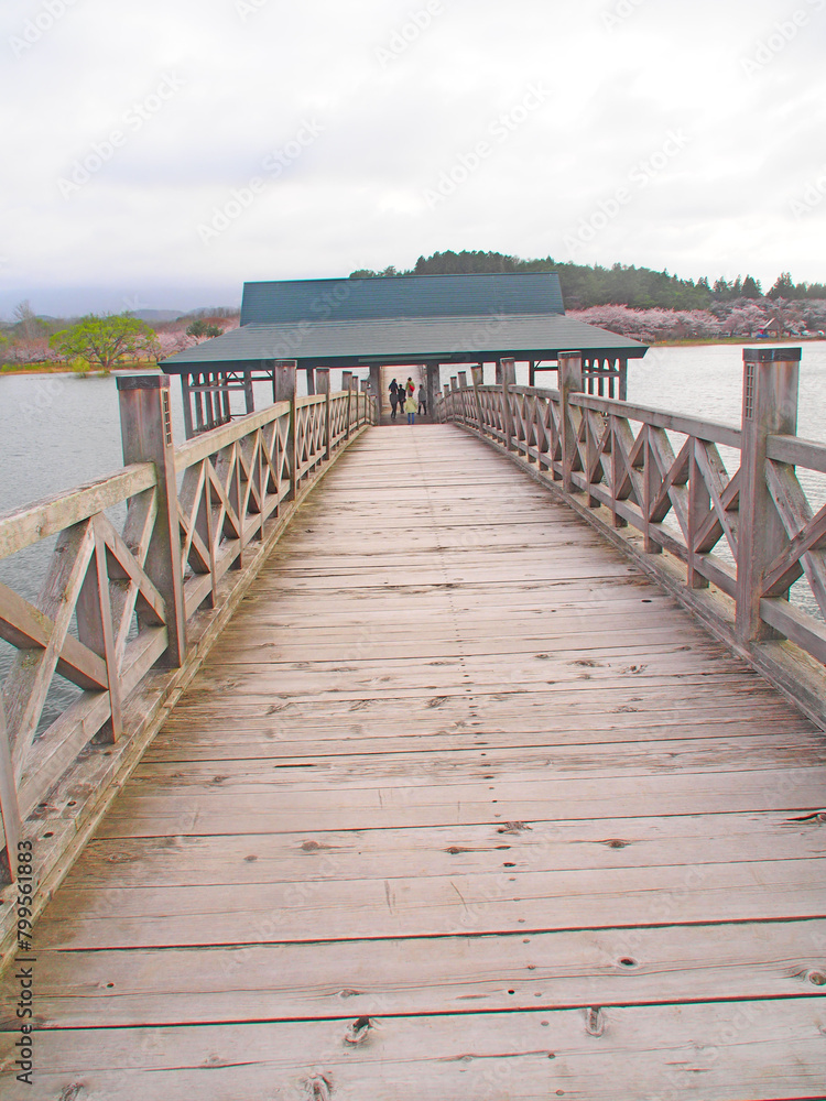 April 18, 2024 Tsurunomai Bridge, Aomori Prefecture