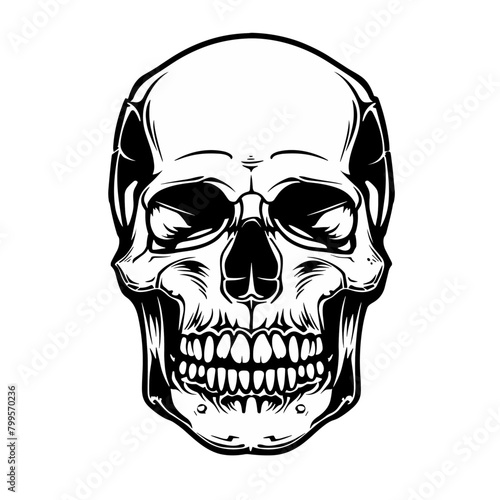 black and white etching of a human skull on a white background photo