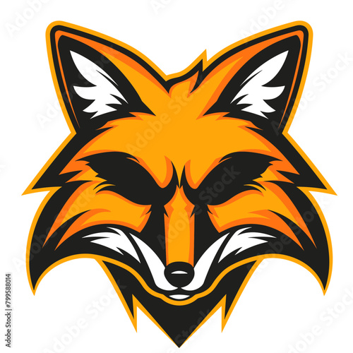 curious fox stares intently at something just out of frame